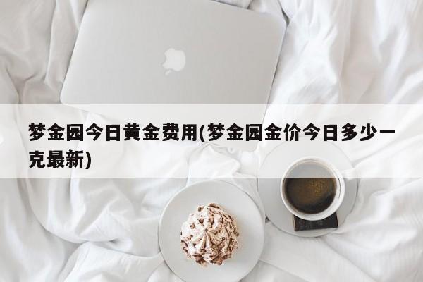 梦金园今日黄金费用(梦金园金价今日多少一克最新)